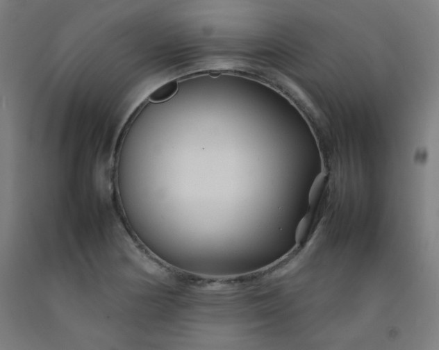 X0000092211178200709281017