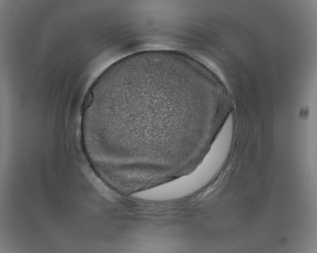 X0000092211179200709281017