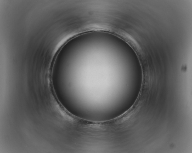 X0000092211182200709281017