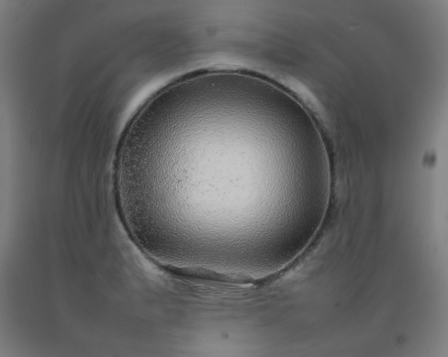 X0000092211183200709281017