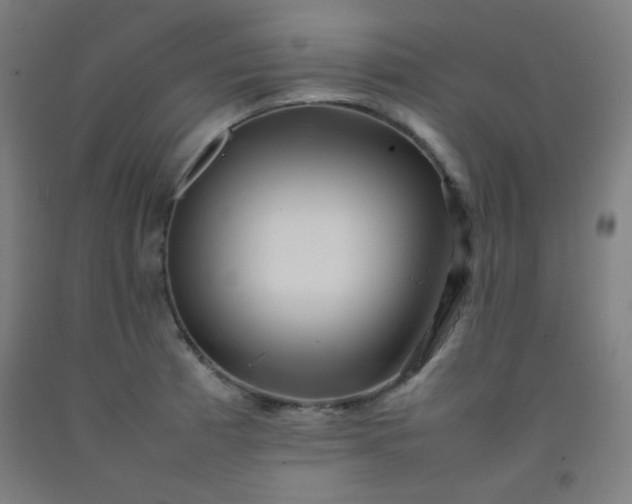 X0000092211185200709281017