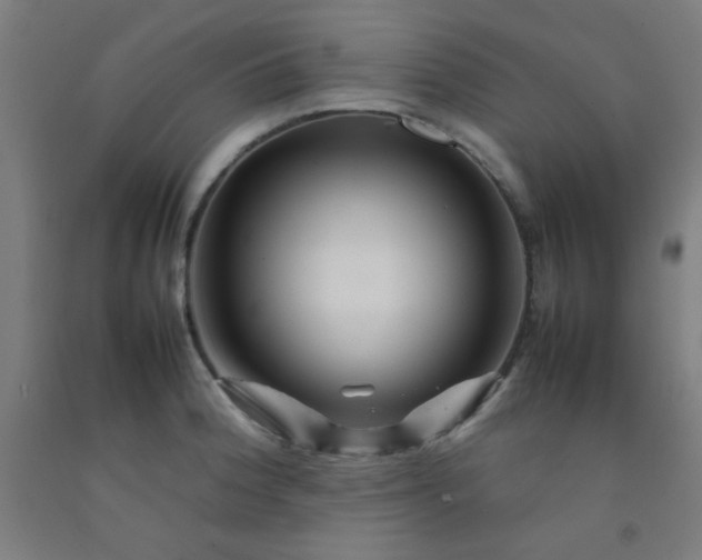 X0000092211188200709281016