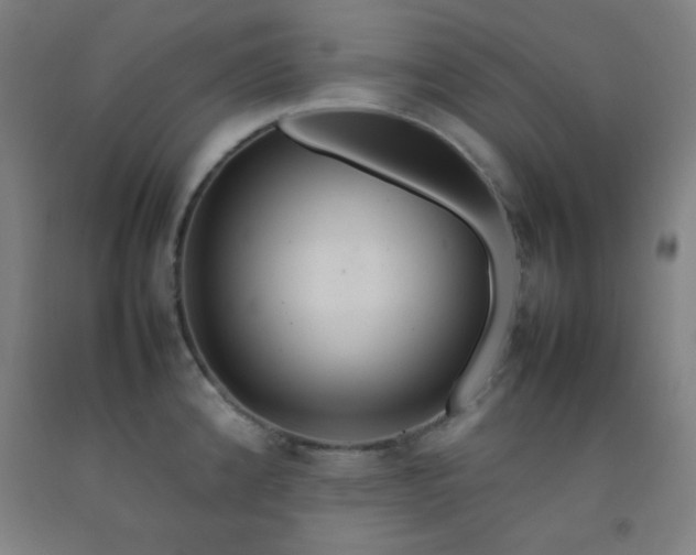 X0000092211192200709281016