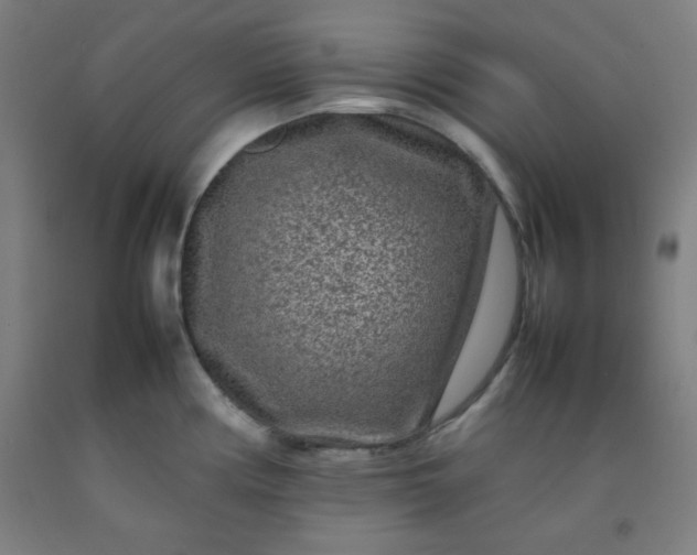 X0000092211194200709281016