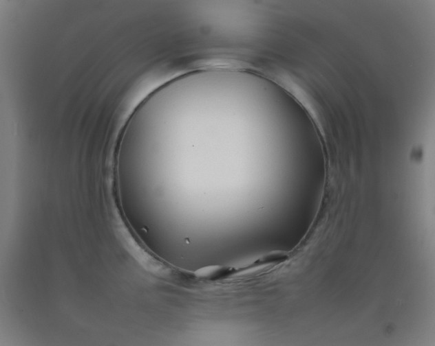 X0000092211195200709281016