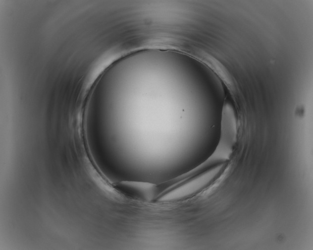 X0000092211196200709281016