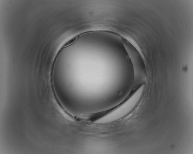 X0000092211197200709281016