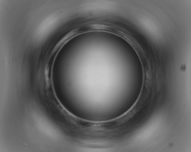 X0000092211198200709281016