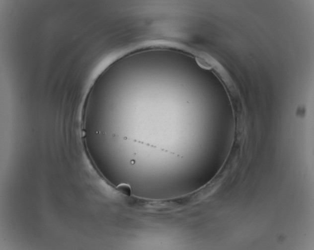 X0000092211199200709281016