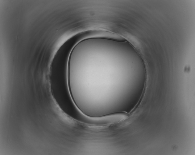 X0000092211200200709281016