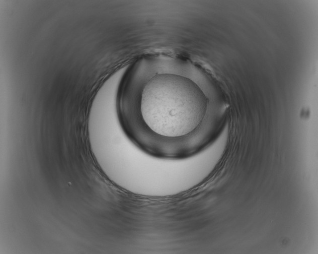 X0000092211202200709281015