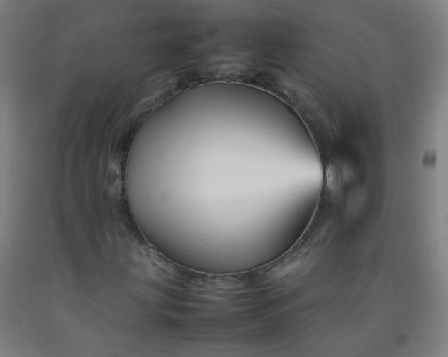 X0000092211203200709281015