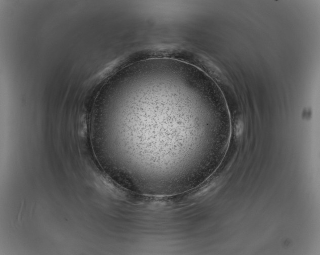 X0000092211204200709281015