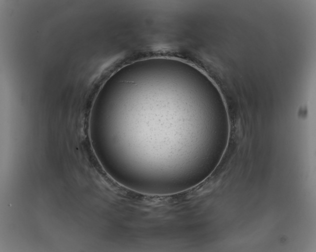 X0000092211205200709281015