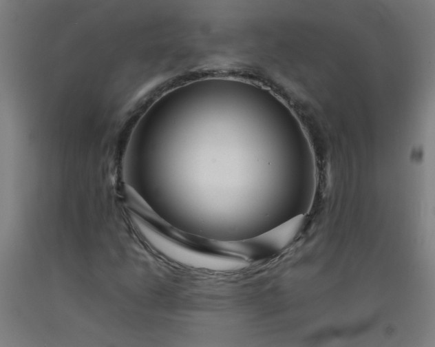 X0000092211206200709281015