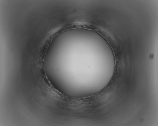 X0000092211207200709281015