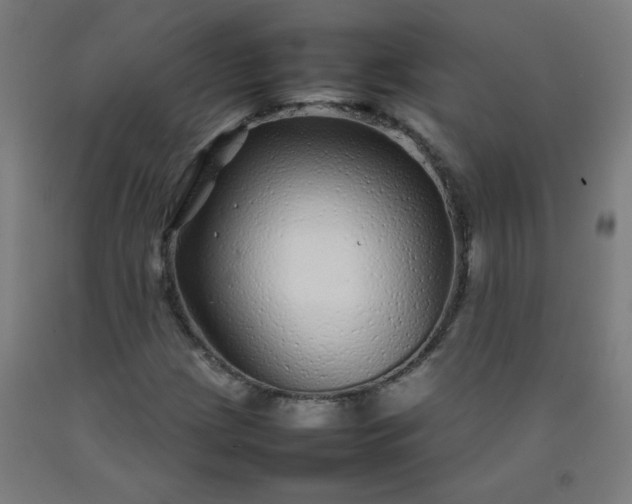 X0000092211209200709281016