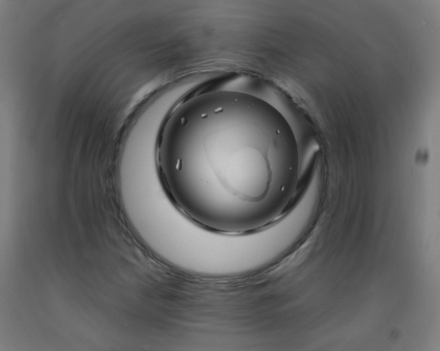 X0000092211210200709281016