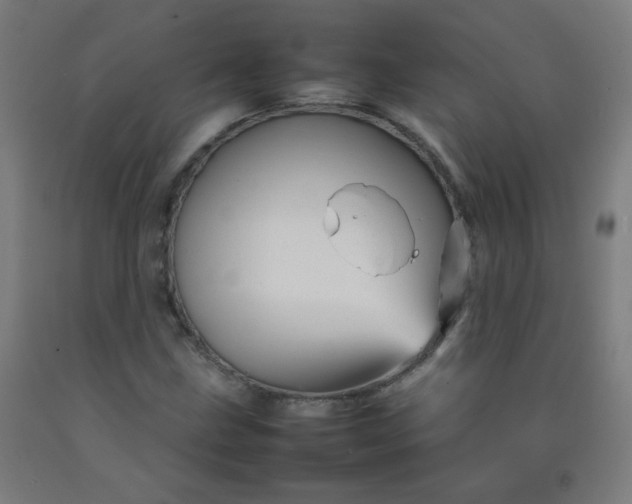 X0000092211211200709281016