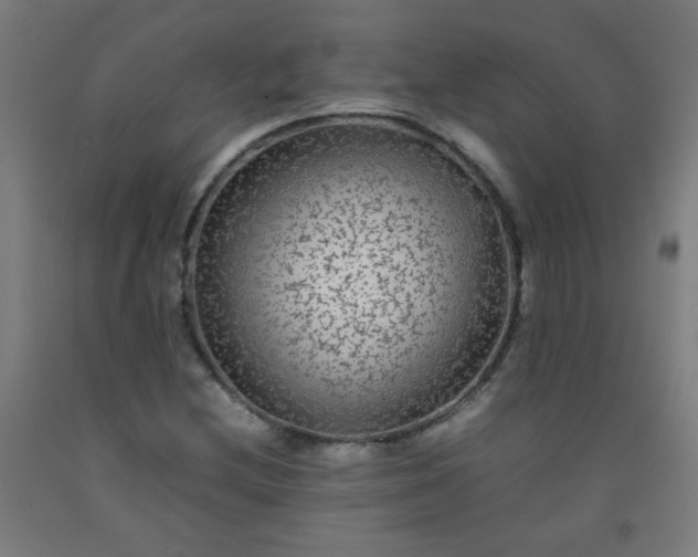 X0000092211212200709281016