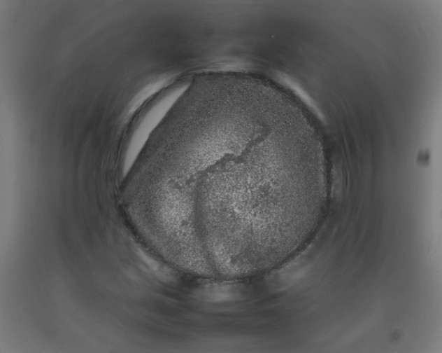 X0000092211213200709281016