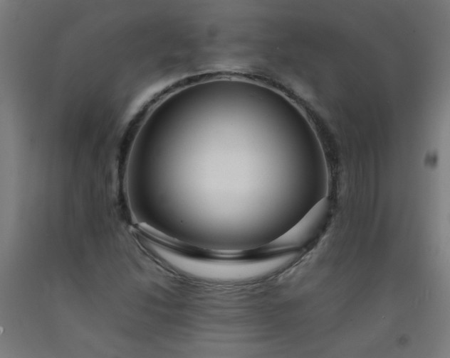 X0000092211214200709281016