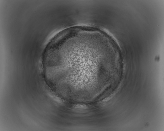 X0000092211215200709281016