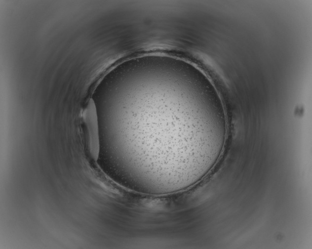 X0000092211217200709281016