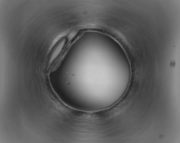 X0000092211218200709281016