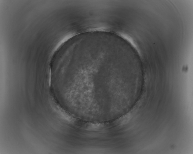 X0000092211219200709281016