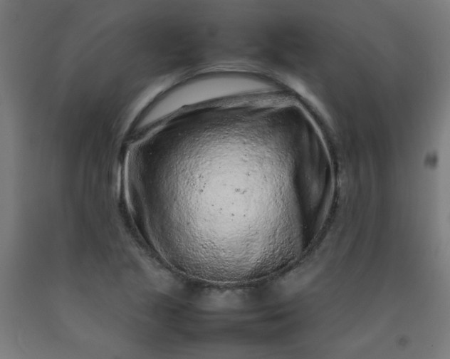 X0000092211221200709281016