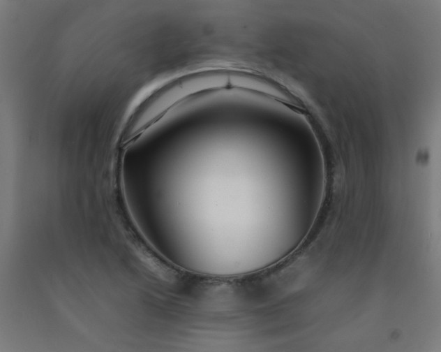 X0000092211222200709281016