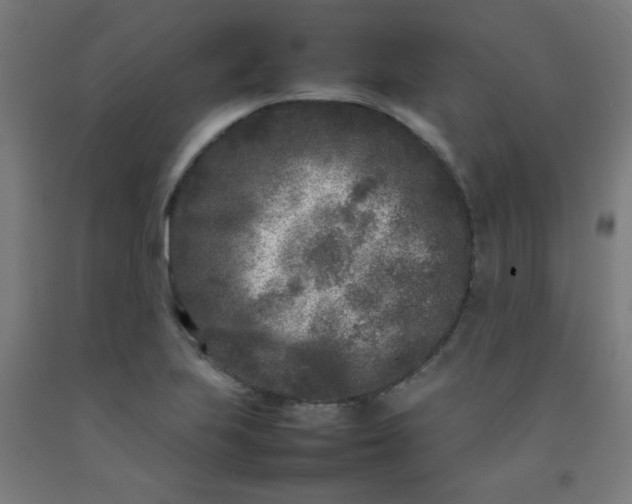 X0000092211223200709281016