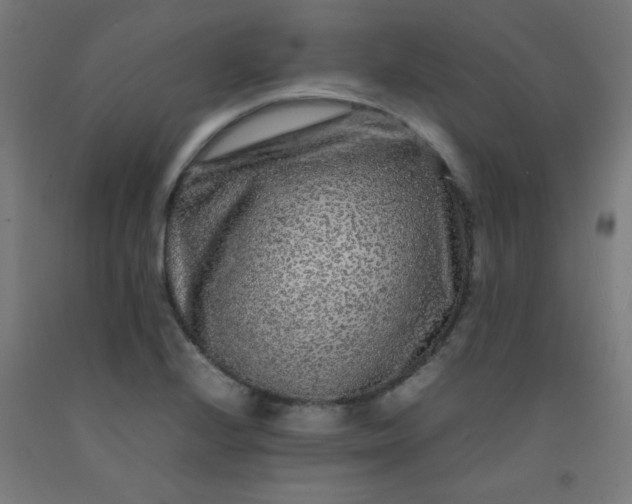 X0000092211224200709281016