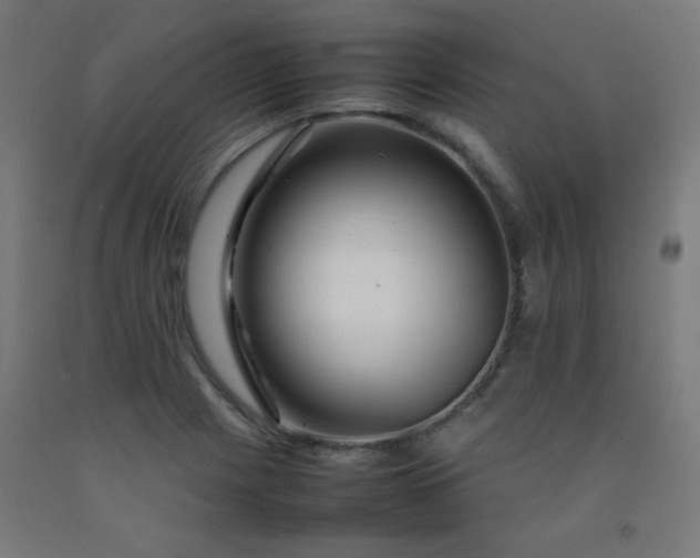 X0000092211225200709281016