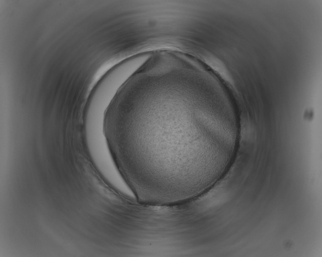 X0000092211226200709281016