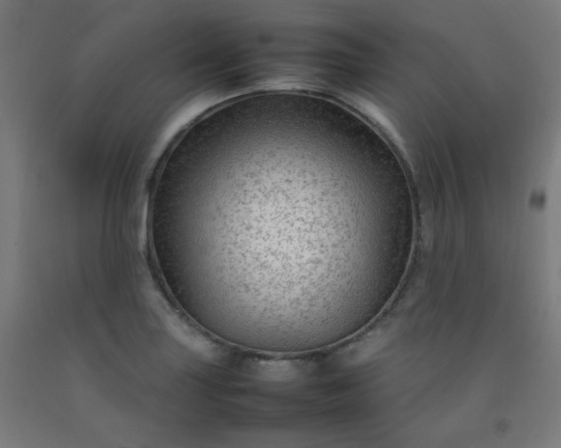 X0000092211227200709281016