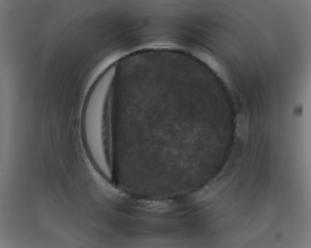 X0000092211229200709281016