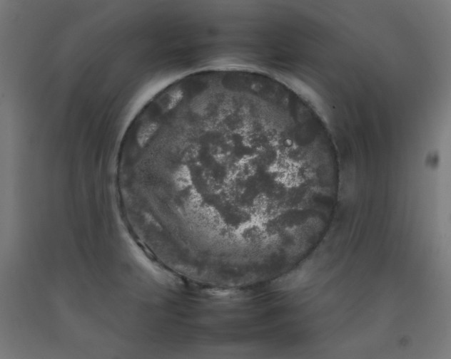 X0000092211231200709281016