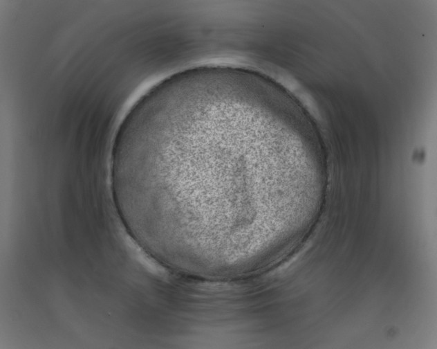 X0000092211232200709281016