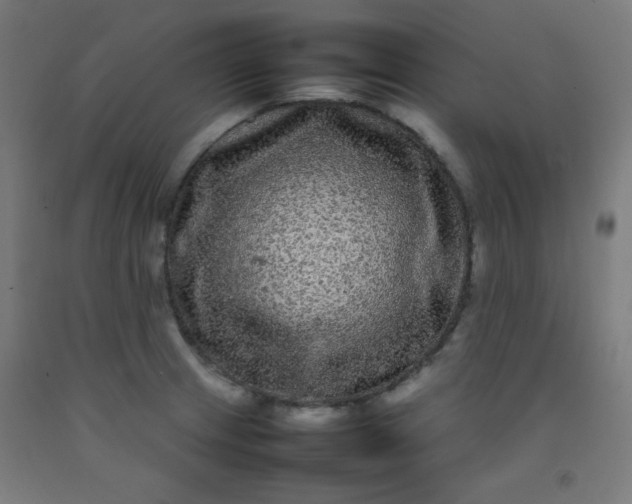 X0000092211233200709281016