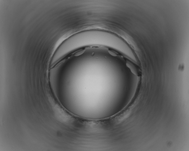 X0000092211234200709281016