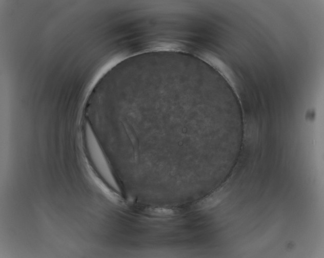 X0000092211235200709281016