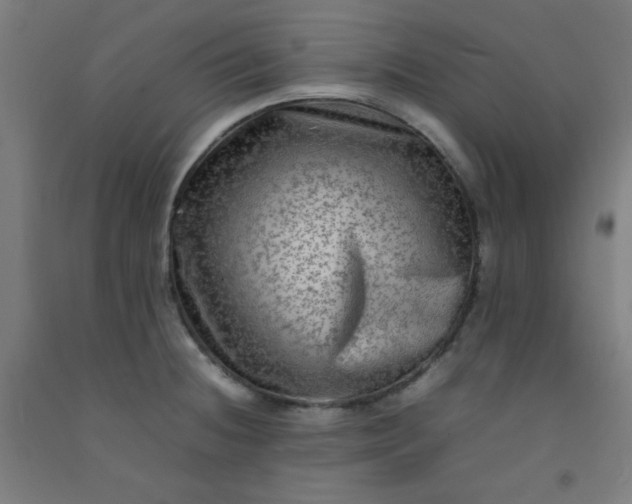 X0000092211236200709281016