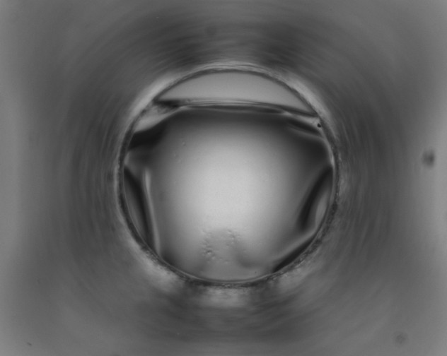 X0000092211237200709281016