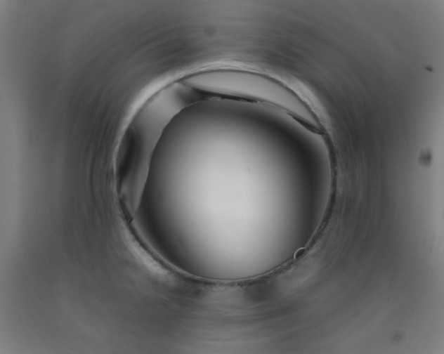 X0000092211238200709281016