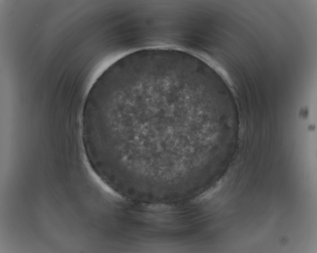 X0000092211239200709281016