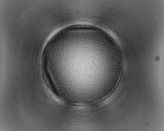 X0000092211240200709281016