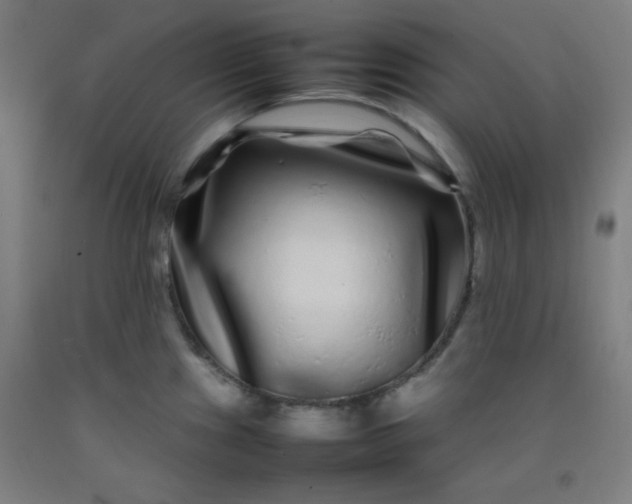 X0000092211241200709281016