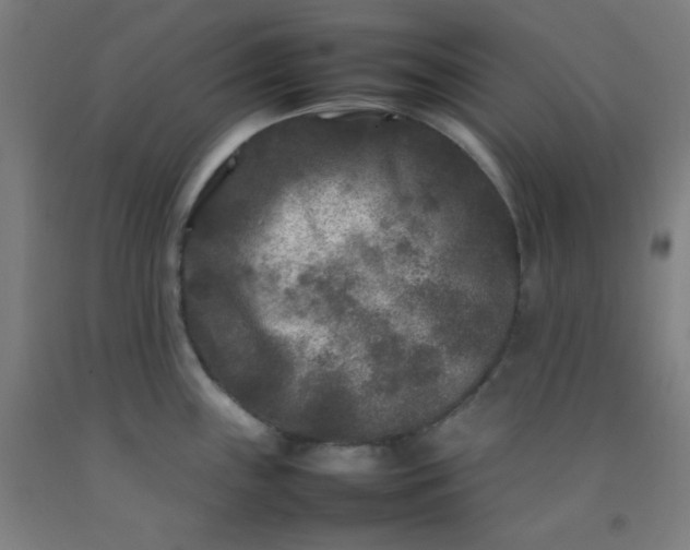 X0000092211243200709281016